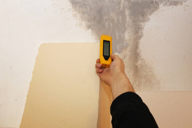 Best Dehumidification Services  in Mountain Lakes, NJ