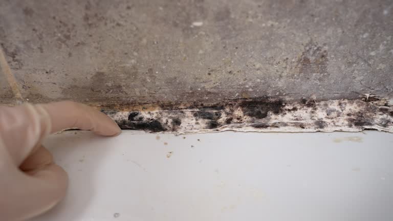 Best Airborne Mold Testing  in Mountain Lakes, NJ