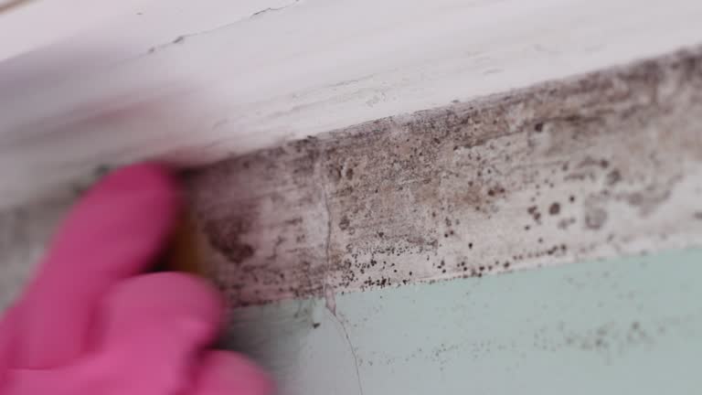 Mold Removal for HVAC Installations in Mountain Lakes, NJ